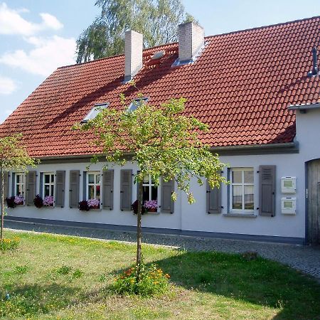 Die Alte Stadtmuehle Direkt An Der Flaemingskate Jüterbog Esterno foto
